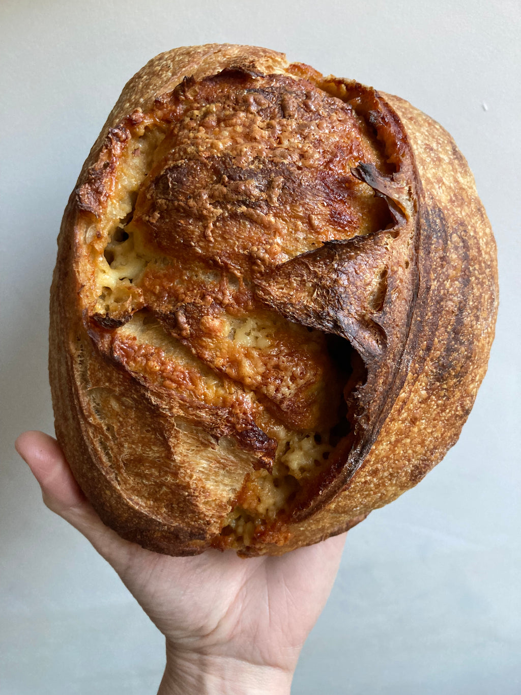 Marmite and Cheddar sourdough