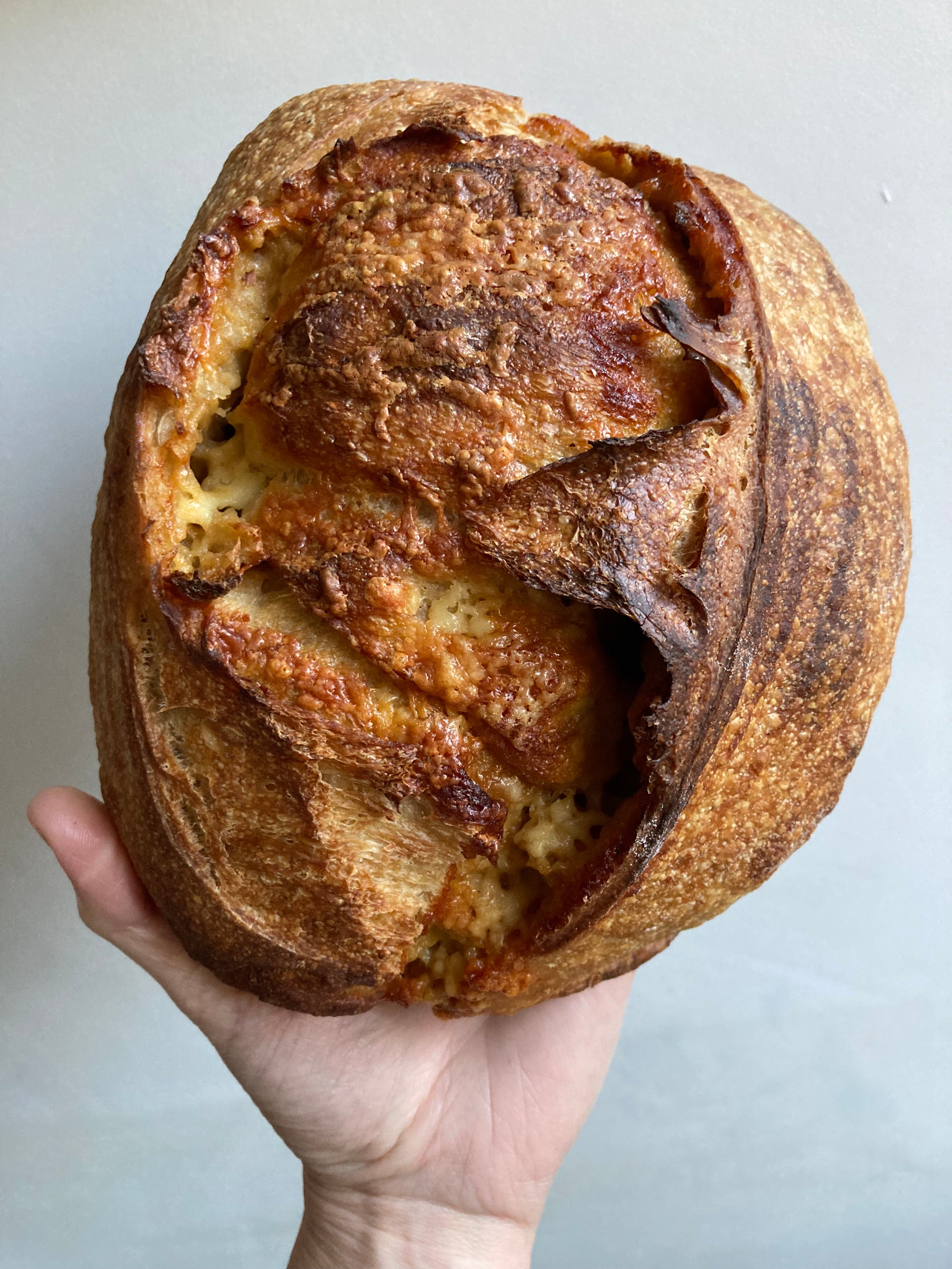 Marmite and Cheddar sourdough