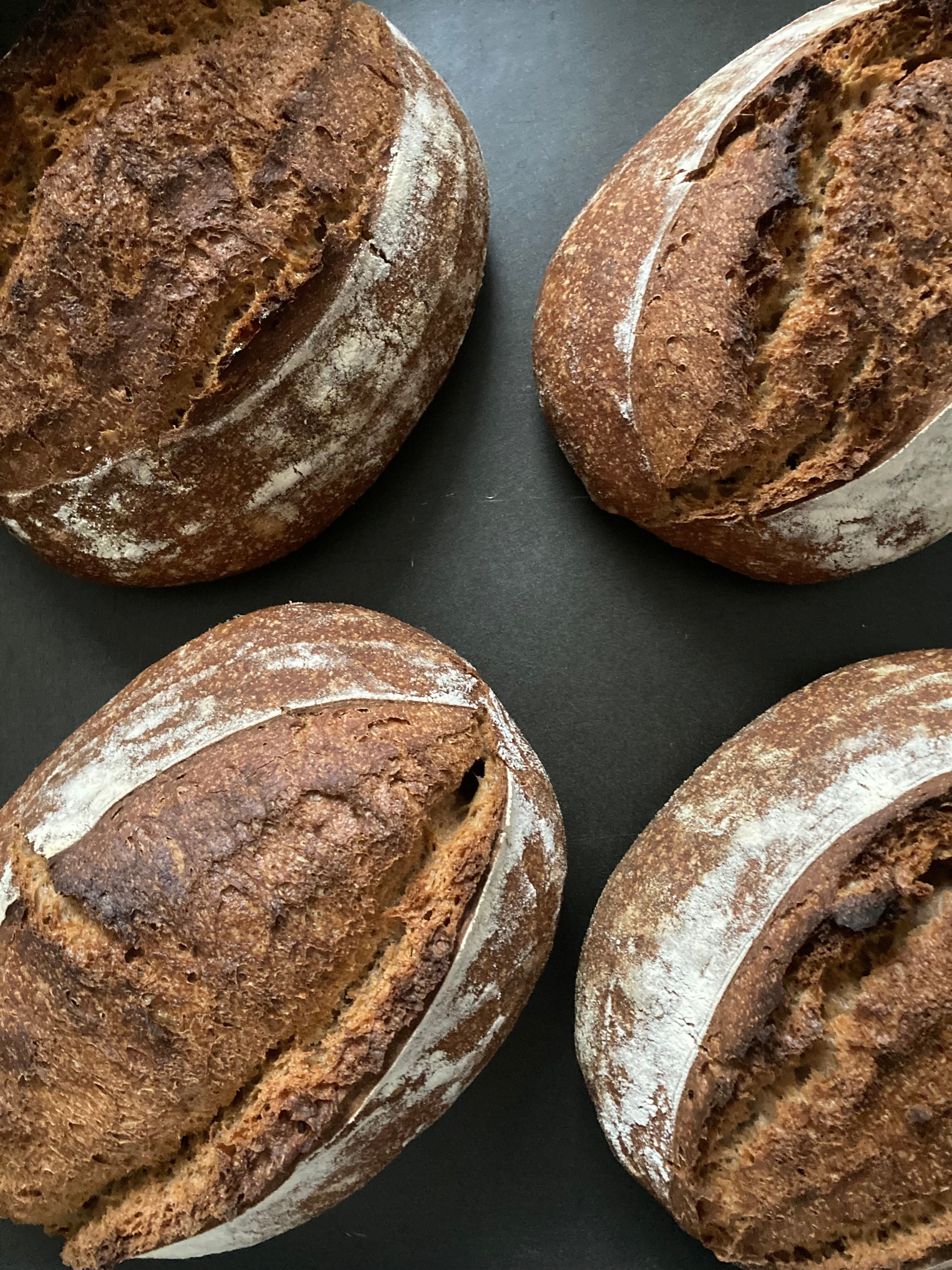Organic Wholemeal Spelt Sourdough