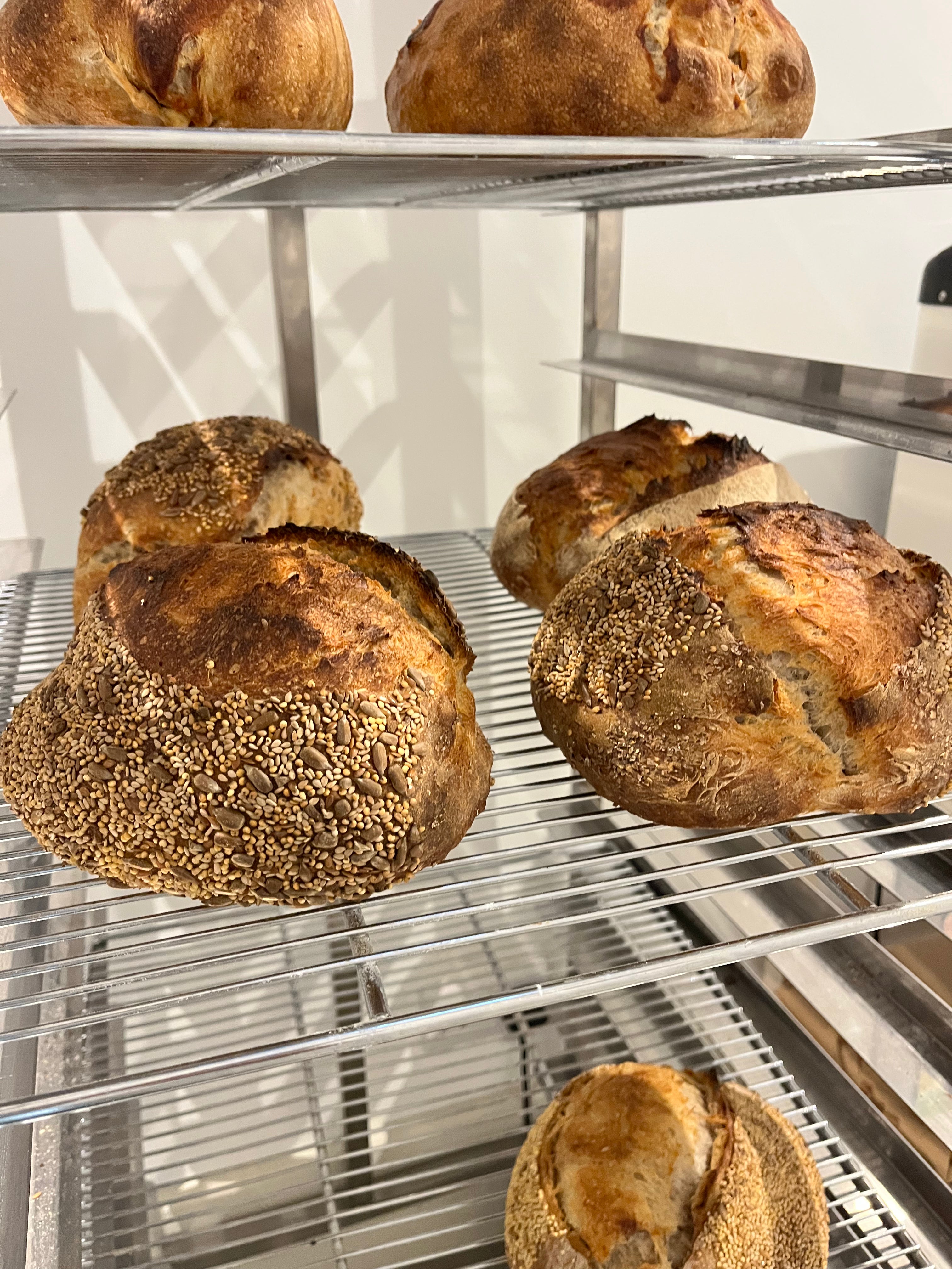 Introduction to Sourdough Workshop