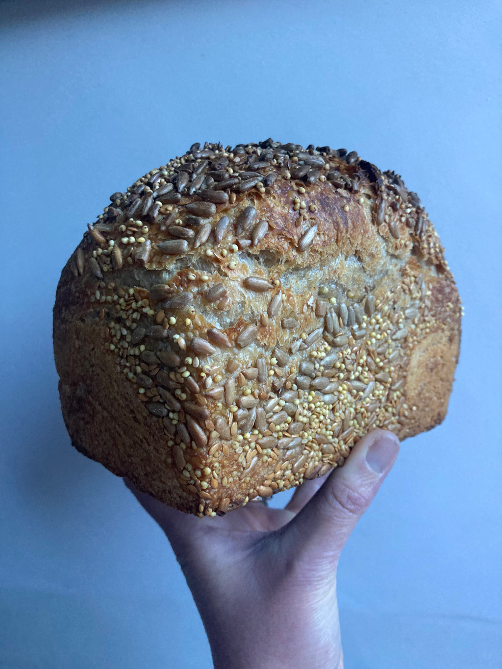 Seedy sourdough