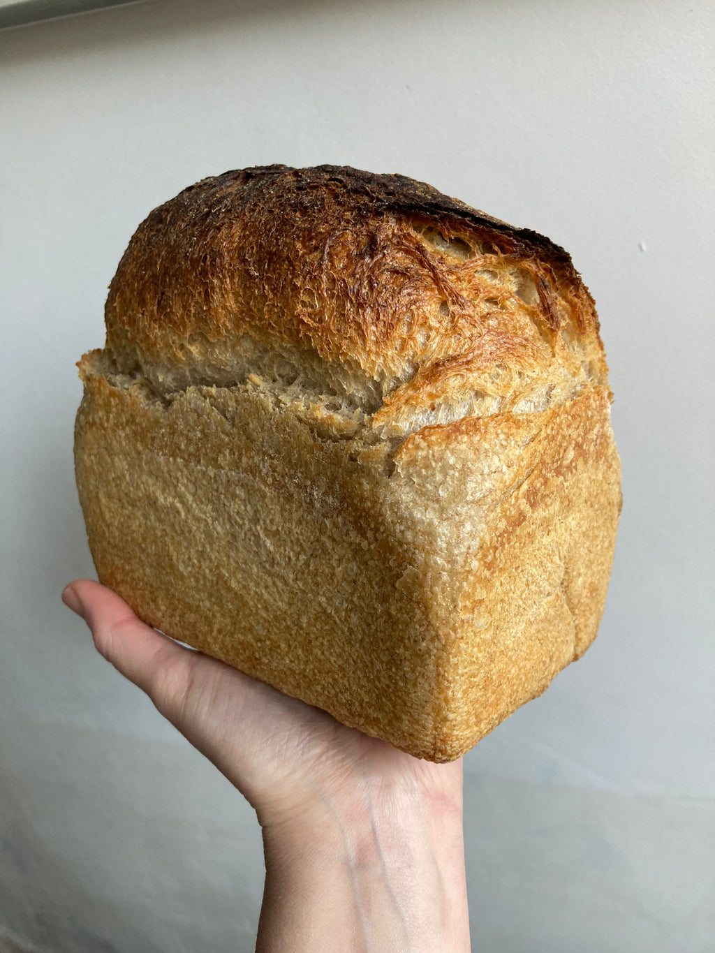 Organic house sourdough