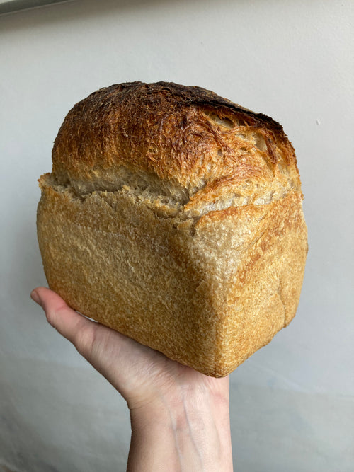 House sourdough