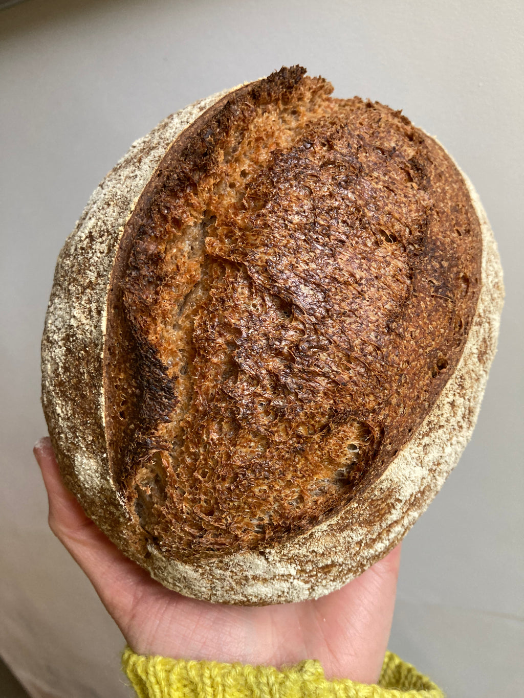 Organic Wholemeal Spelt Sourdough