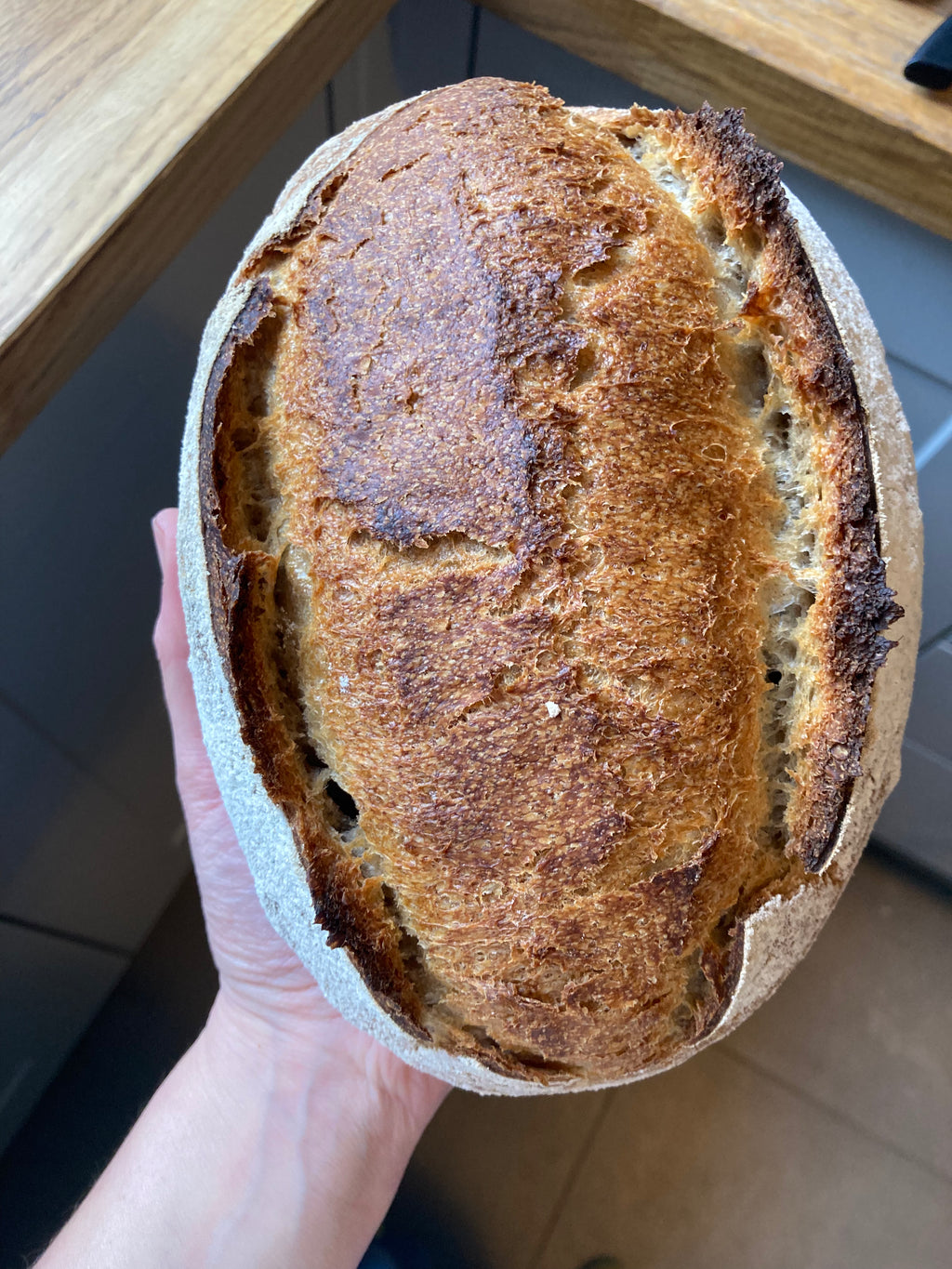 Organic house sourdough