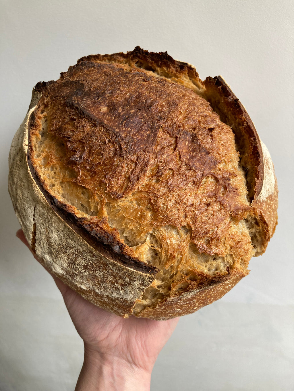 Organic Stoneground White